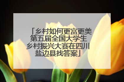 乡村如何更富更美 第五届全国大学生乡村振兴大赛在四川盐边县找答案